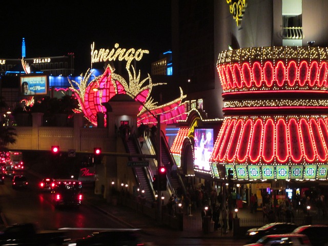 Land-Based Gambling Venues